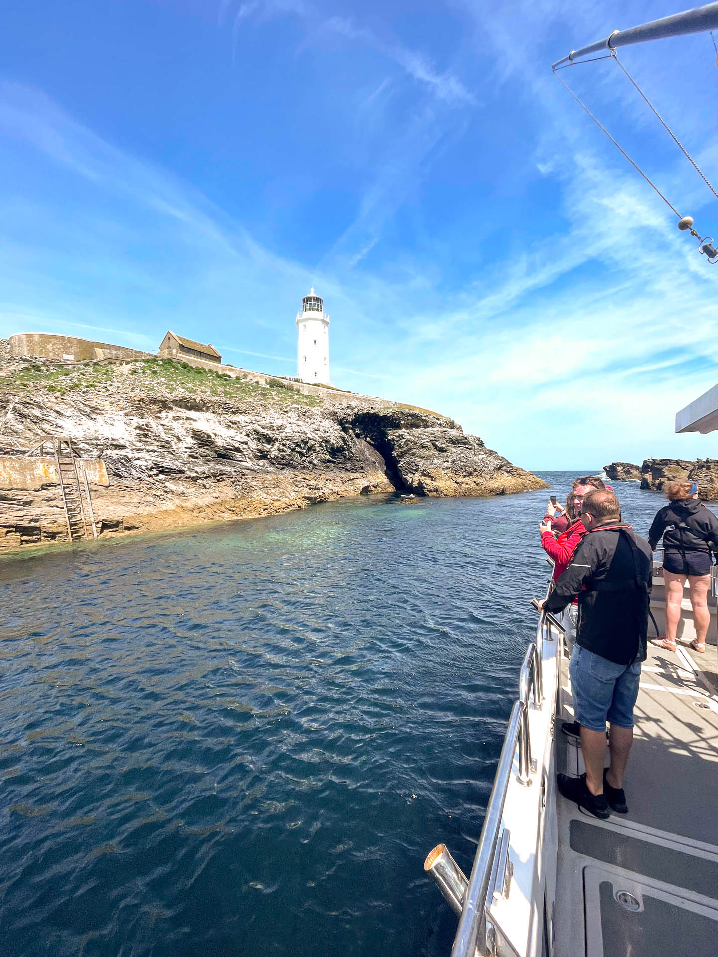 seal island trip st ives